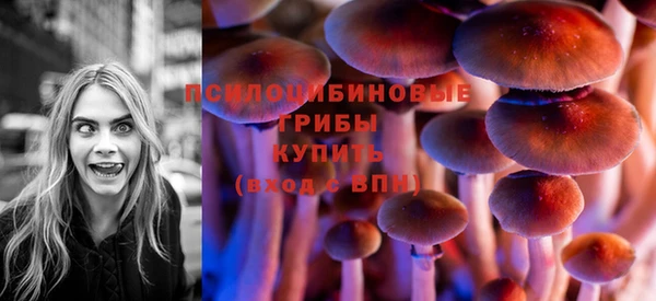 ешки Козельск