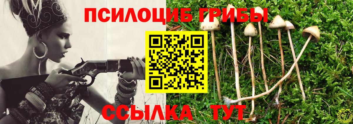 Псилоцибиновые грибы Cubensis  Галлюциногенные грибы ЛСД  Йошкар-Ола 