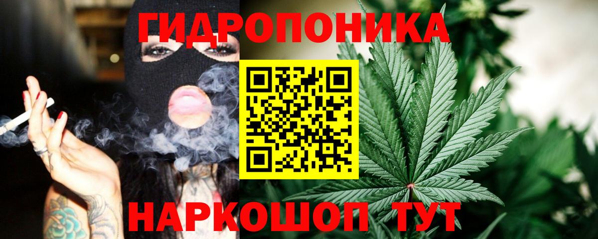 Шишки марихуана планчик  МАРИХУАНА LSD WEED  Каннабис индика  Йошкар-Ола  Вход с VPN 